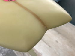 �e�C�� Brewer 38_8